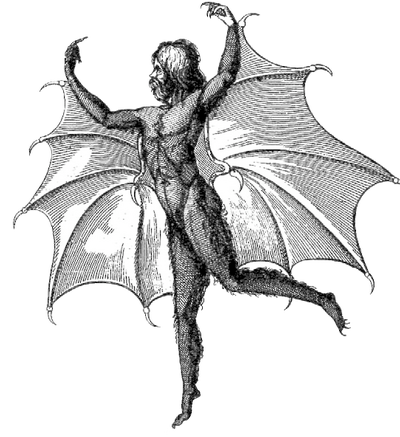 Vespertilio-homo