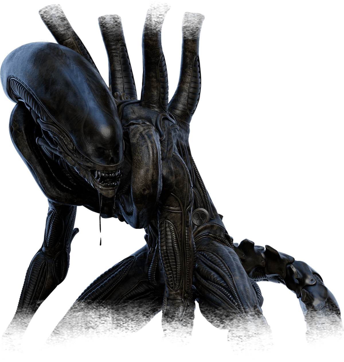 Xenomorph - Alien: Isolation Wiki