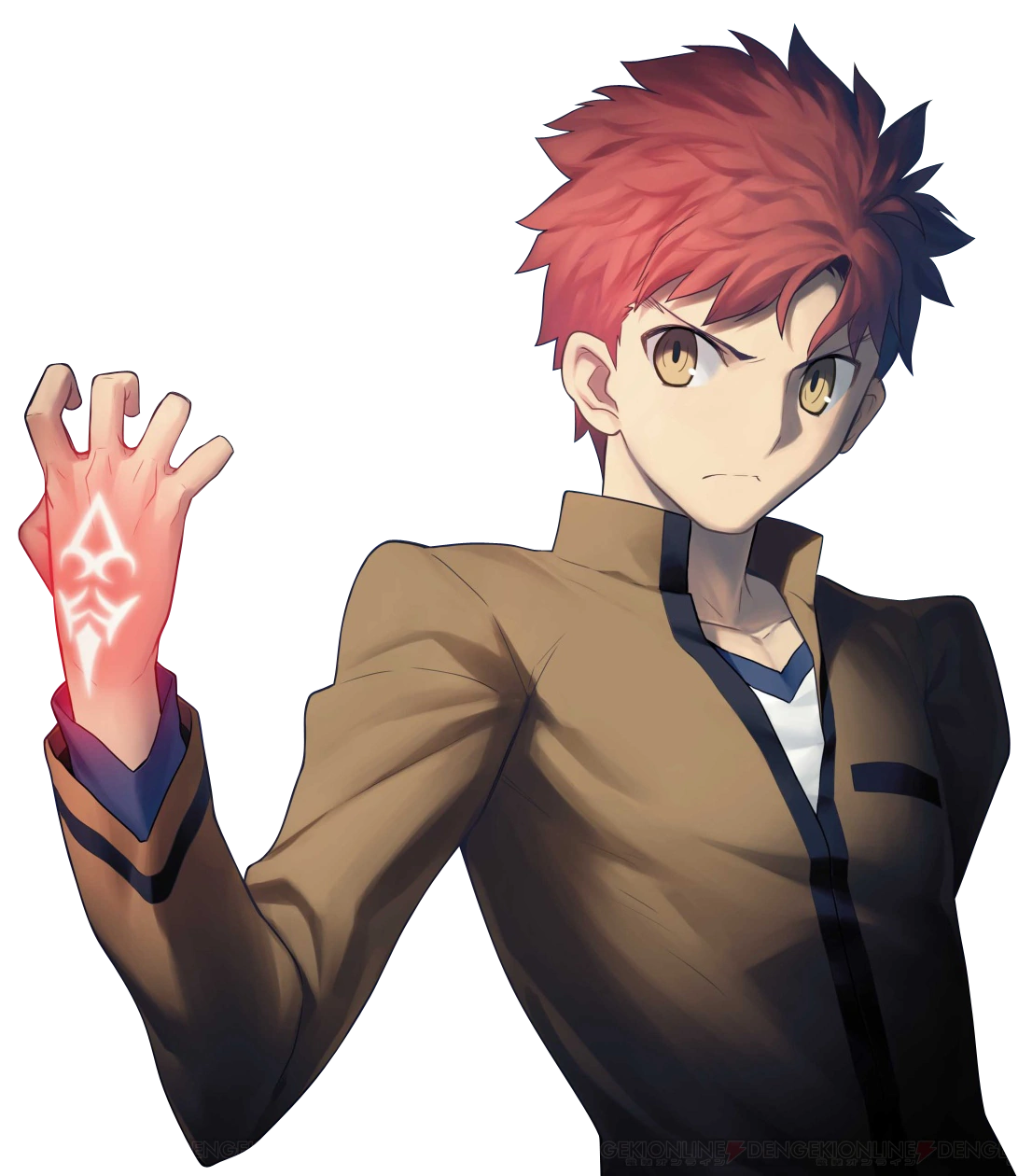 Shirou Emiya, Character Profile Wikia