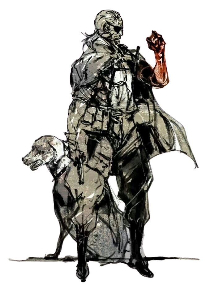 Venom Snake (Canon, Metal Gear)/Ednaxel2 | Character Stats and