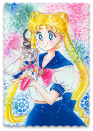 Sailor moon crystal season 1 and 2 moments🌙💎 in 2023  Sailor moon  character, Sailor chibi moon, Sailor moon manga