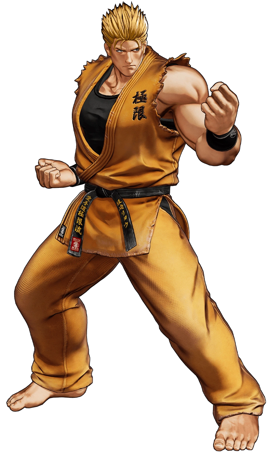 Ryo Sakazaki (Canon, The King of Fighters)/Unbacked0 | Character