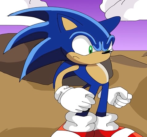 Sonic the Hedgehog (Canon, Sonic X)/Paleomario66, Character Stats and  Profiles Wiki