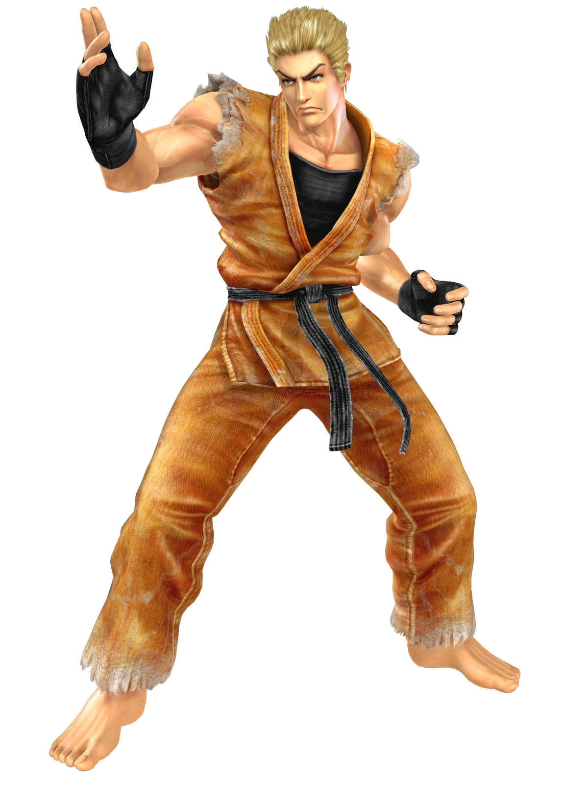 Ryo Sakazaki (Canon, The King of Fighters: Maximum Impact