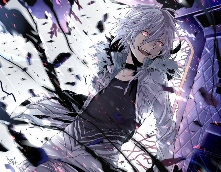 accelerator's Profile 