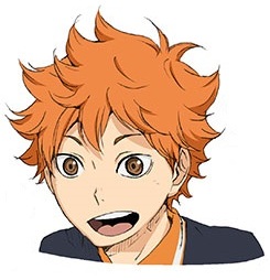 日向翔陽 人物wiki Fandom 日向翔陽 人物wiki Fandom