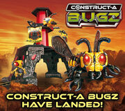 Bugz landed