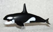 Orca (exclusive to pack)