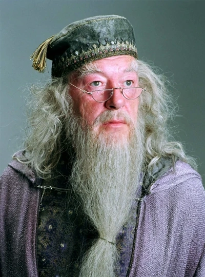 dumbledore tower lego