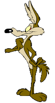 Wile-E.-Coyote-Image