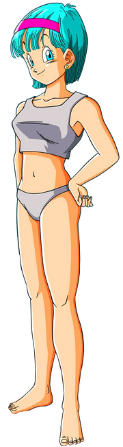 Bulma Briefs