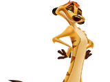 Timon