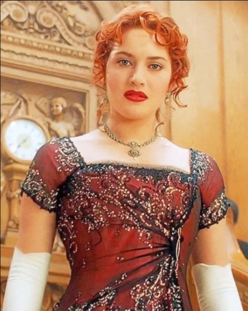 Rose dawson clearance costume