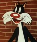 Sylvester-the-cat-sylvester-7.76