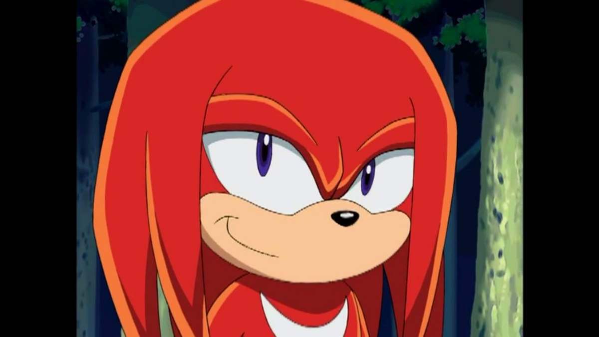 Xbox Canada on X: RT for LIKE for KNUCKLES SONIC Echidna Hedgehog