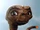 E.T.