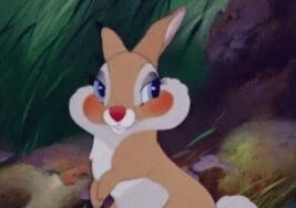 Miss bunny by gannoncaitlin