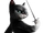 Kitty Softpaws