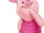 Piglet