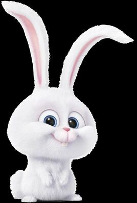 Snowball