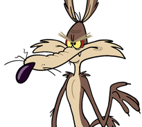 Wile-E.-Coyote (1)