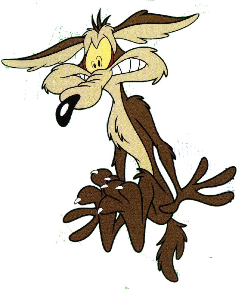 wile e coyote nike shoes