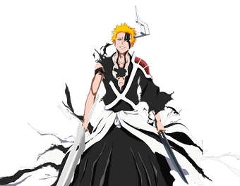 Ichigo Kurosaki | Character Profile Wikia | Fandom