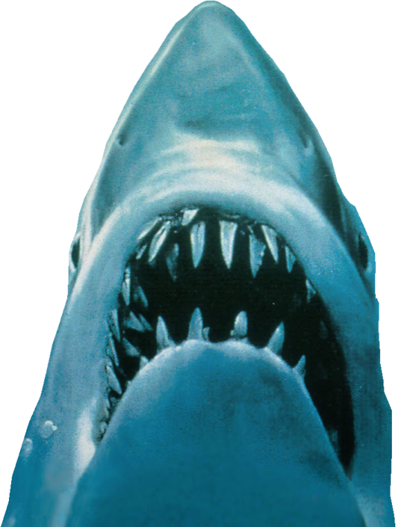 Jaws Shark | Character Profile Wikia | Fandom