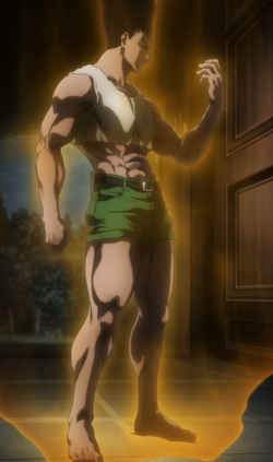 Gon Freecss Height Weight Measurements Age Powers & Weakness