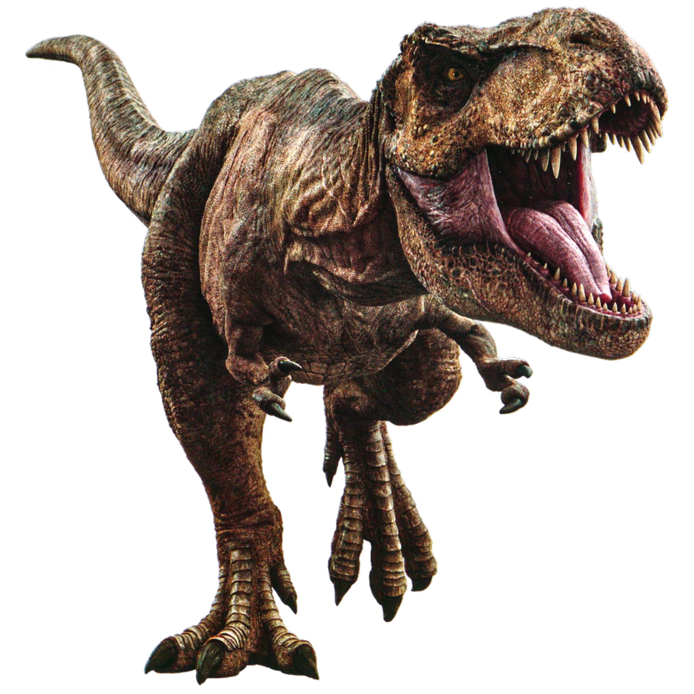 tyrannosaurus rex profile