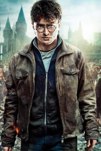 Search: 5 results found for leather harry potter