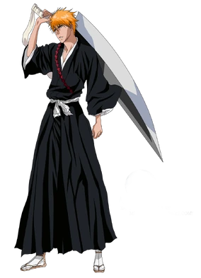 Ichigo Kurosaki | Character Profile Wikia | Fandom