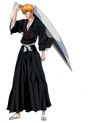 Ichigo Kurosaki | Character Profile Wikia | Fandom