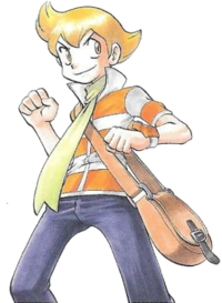 Pokémon Diamond And Pearl Pokémon Platinum Pokémon Adventures Pokémon  Trainer PNG, Clipart, Barry, Boy, Cartoon, Child