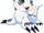 Gomamon
