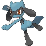 447Riolu.png (250 KB) Riolu, Lucario's first evolutionary state.