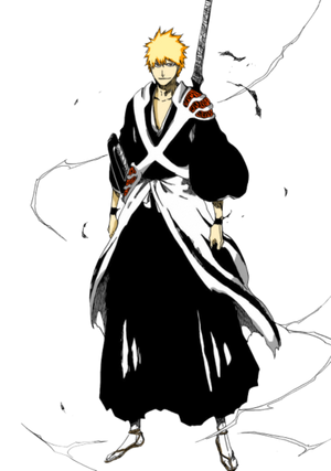 Fullbring Ichigo vs Dangai Ichigo (BLEACH) 