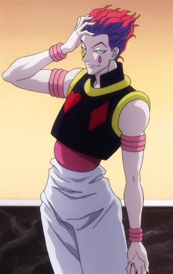 Hisoka Morow Character Profile Wikia Fandom