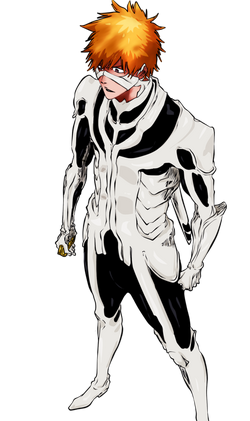 Why is Ichigo full hollow form often referred to as Vasto Lorde