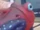 Frog (diecast)
