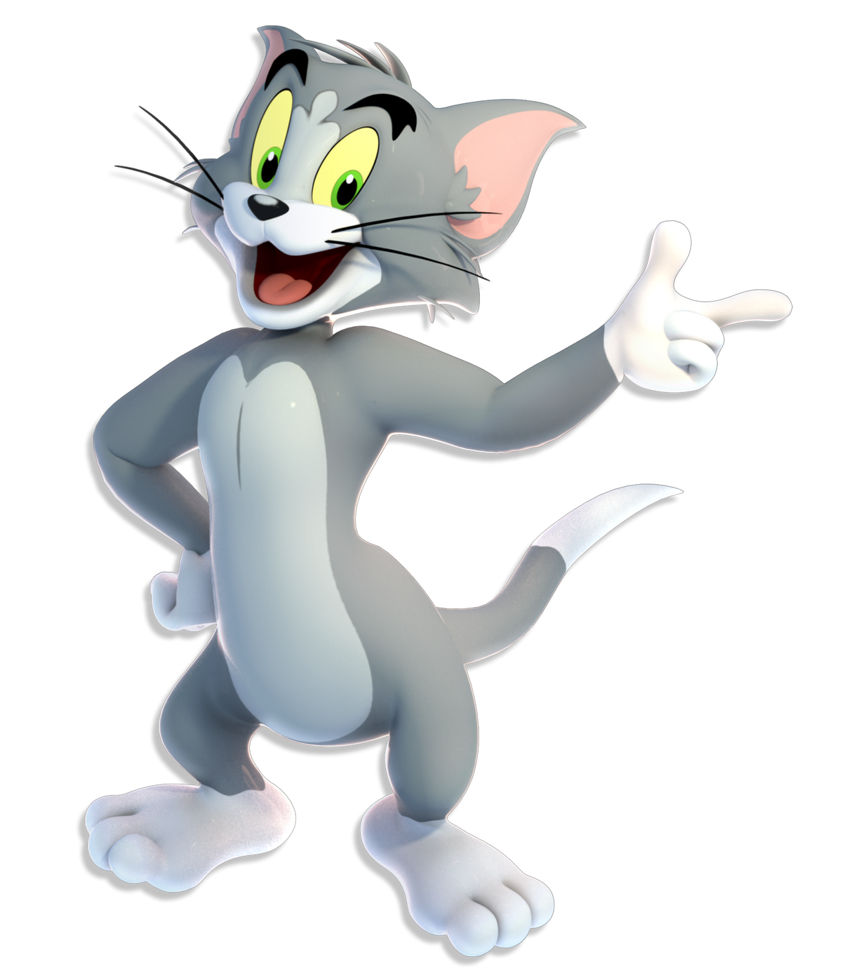Tom cat best sale cartoon