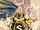 Sentry