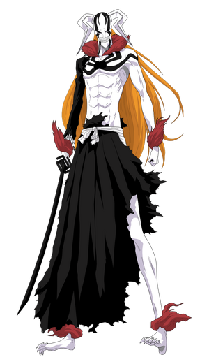 Why is Ichigo full hollow form often referred to as Vasto Lorde