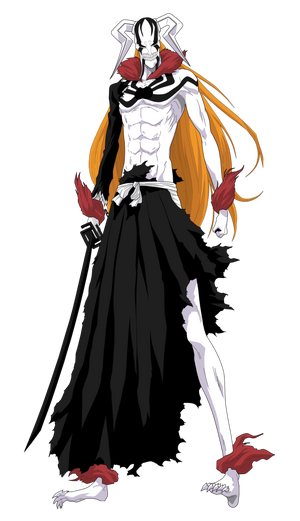 Vasto Lorde Ichigo, Wiki