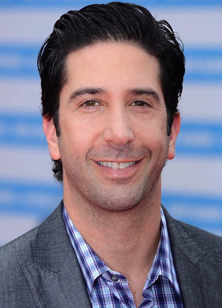 David Schwimmer Characters Media Wiki Fandom