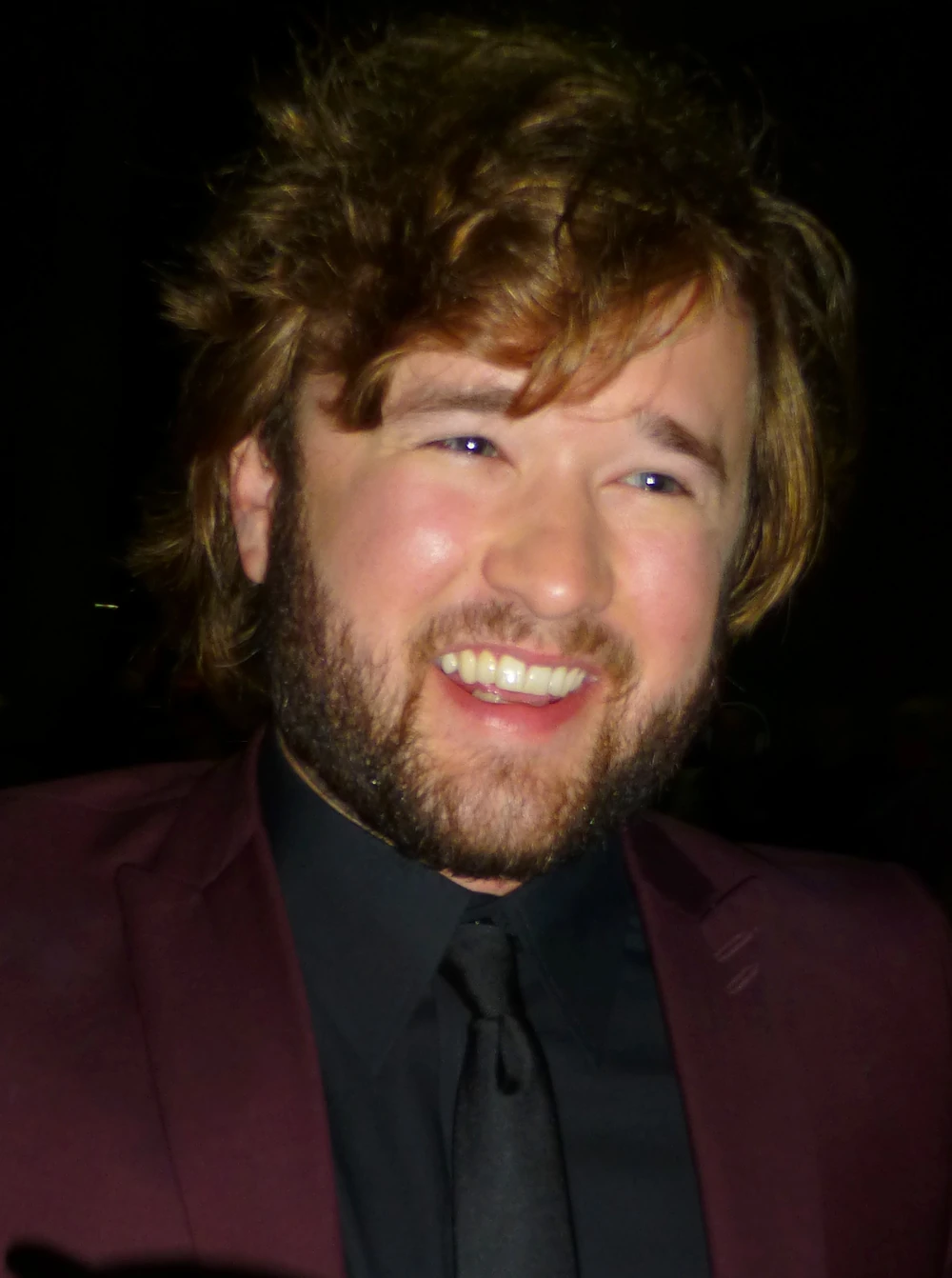 Haley Joel Osment | Characters Media Wiki | Fandom