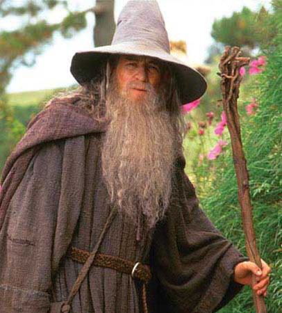 Canvas print The Lord of the Rings - Gandalf | Fine Art Prints & Wall  Decorations