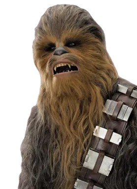 Chewbacca TLJ