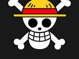 Straw Hat Pirates