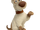 Dog (Masha and the Bear)